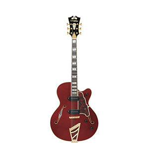 D'ANGELICO Excel 59 Viola