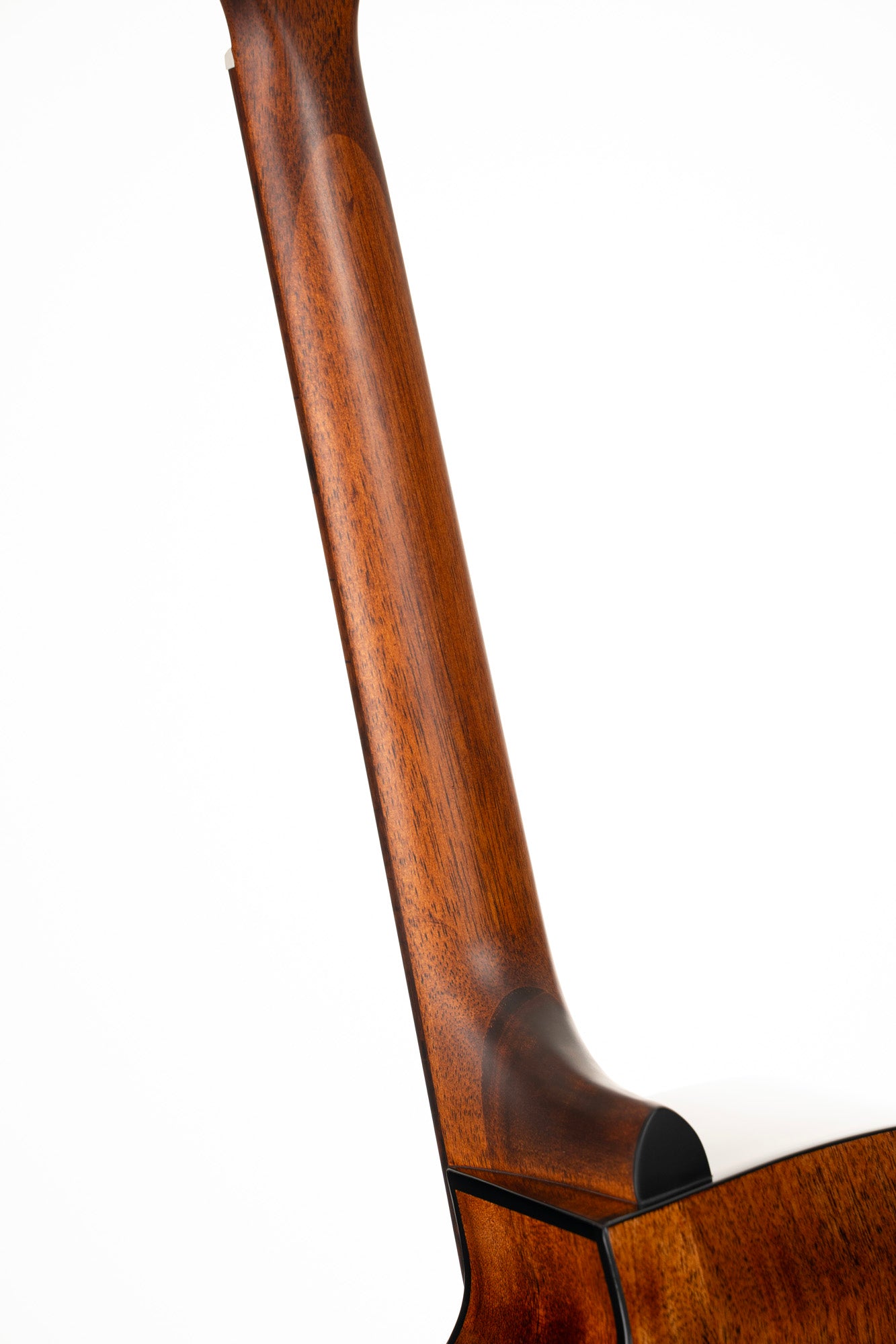 Earth 60 CE, pan coupƩ, table ƩpicƩa massif, fond & Ʃclisses acajou, touche laurier, EQ CE304T, naturel brillant