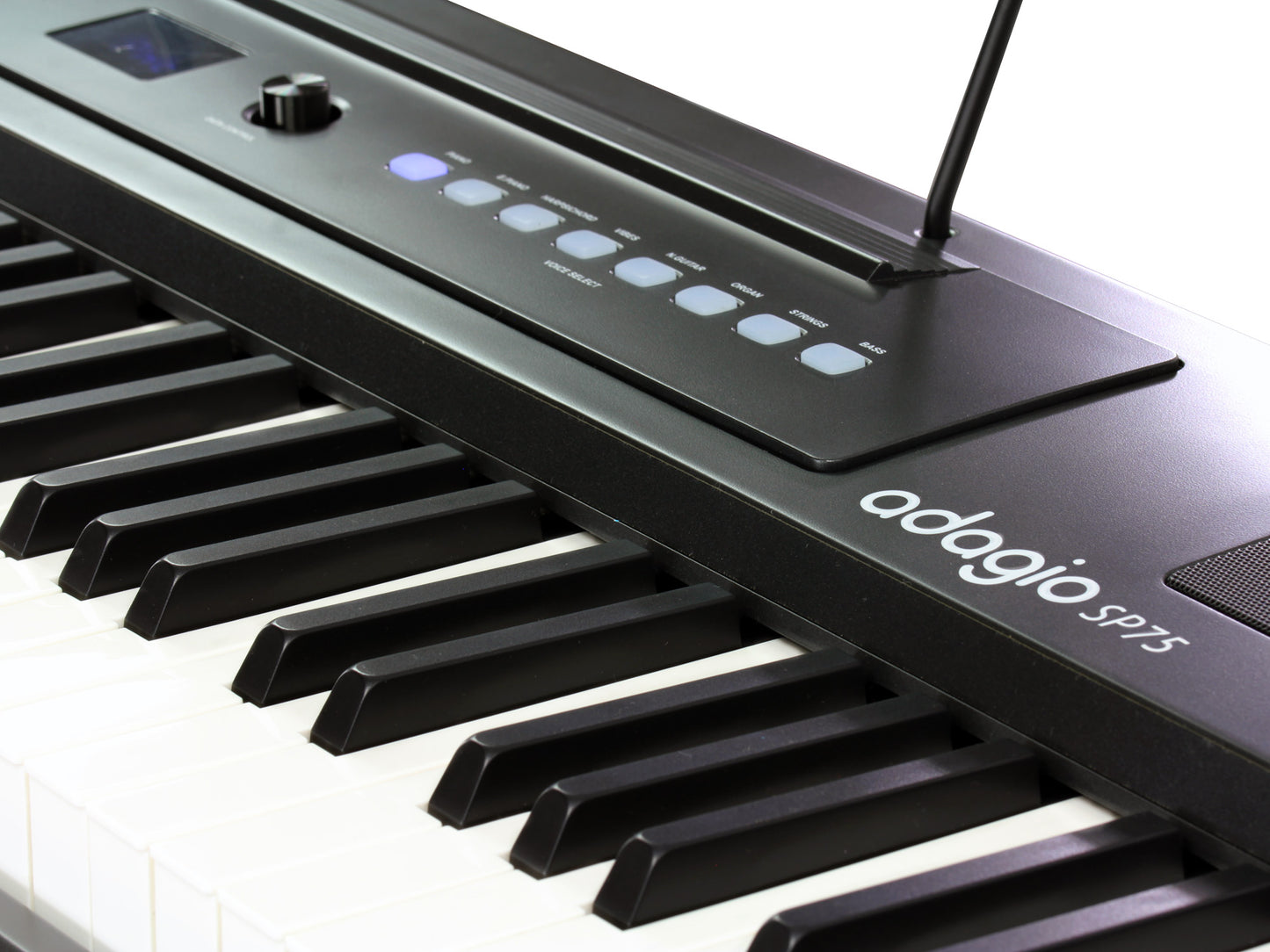 Piano numƩrique portable Adagio SP75BK | 88 notes, toucher lourd