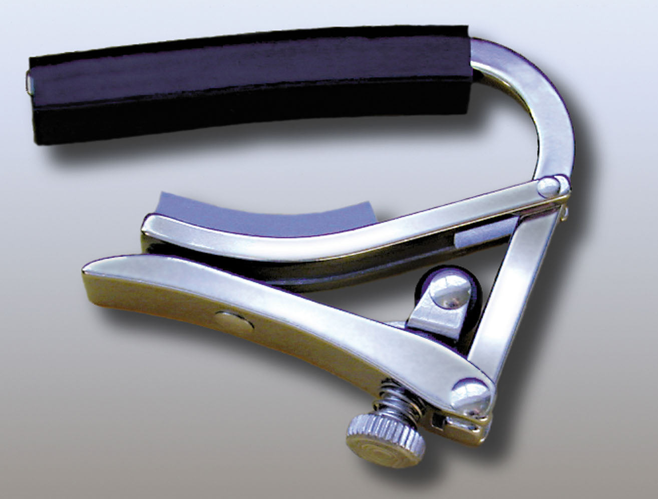 Deluxe, pour western/Ʃlectrique, acier inoxydable