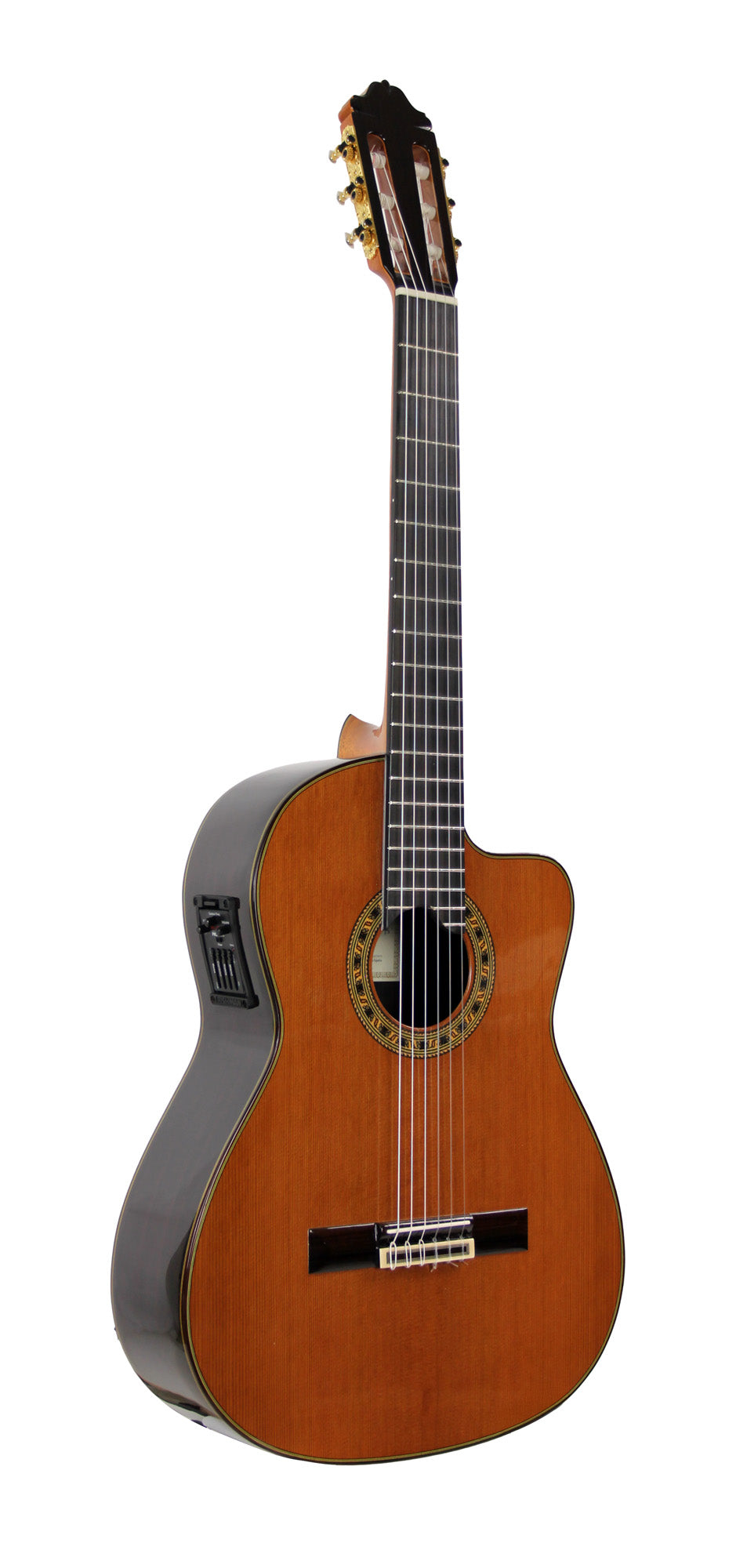 ELEC, pan coupé, table cèdre, f/e palissandre massif, touche ébène, sillet 52 mm, Fishman Prefix Pro Blend, soft case