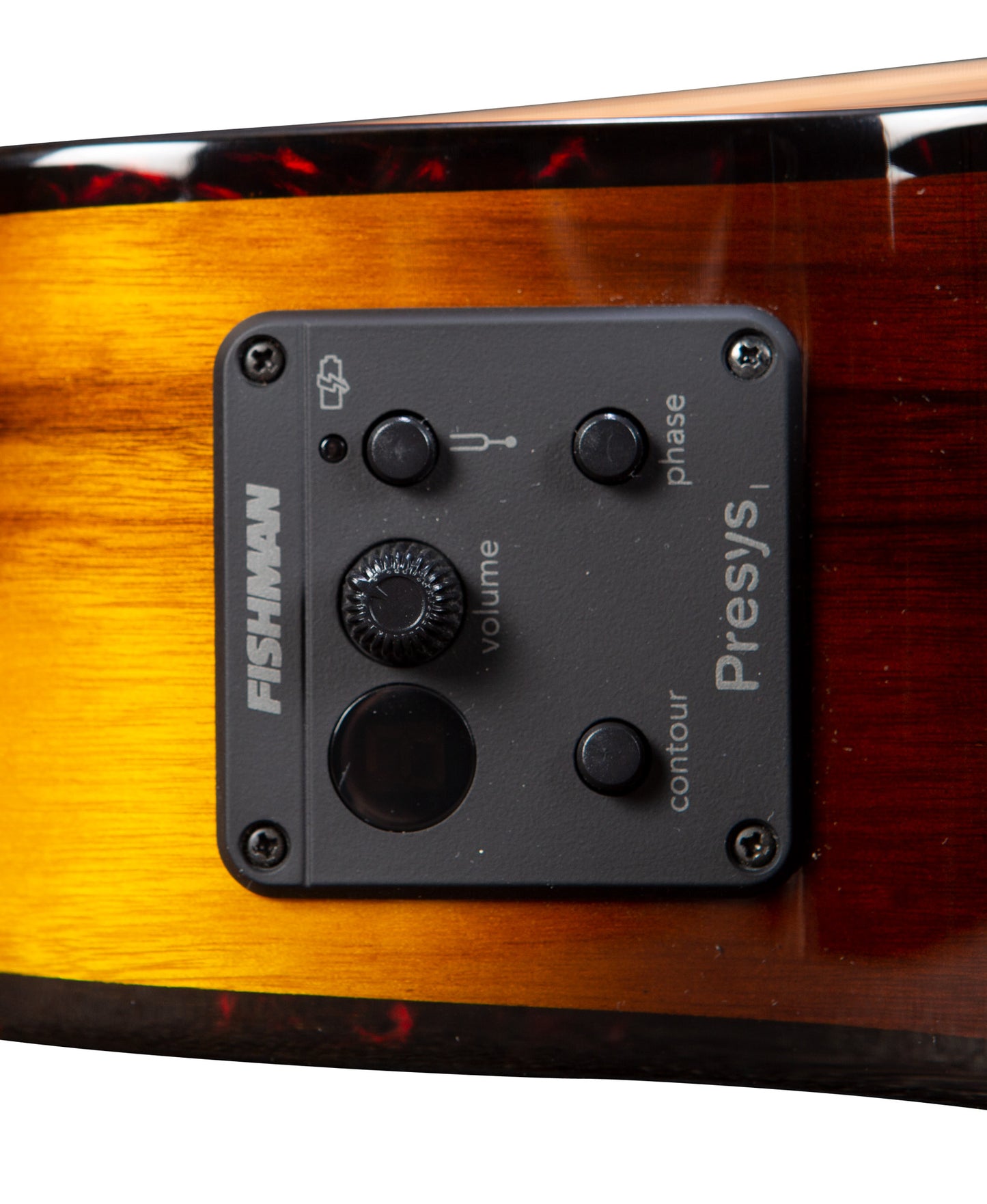 PURSUIT EXOTIC S CONCERT TIGER'S EYE CE, table myrtlewood massif, f/e myrtlewood, EQ Fishman Presys I, tiger's eye