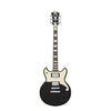 D'Angelico Premier Brighton Blake Flake