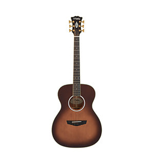 D'ANGELICO Excel Tammany Autumn Burst