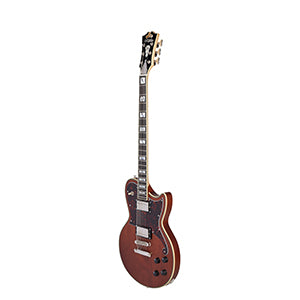 D'ANGELICO Deluxe Atlantic Baritone Satin Walnut
