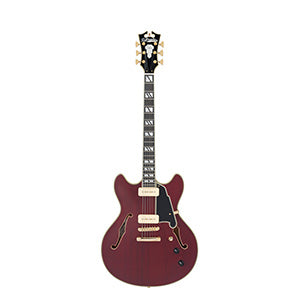 D'ANGELICO Deluxe DC Satin Trans Wine