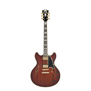 D'ANGELICO Deluxe DC Satin Brown Burst