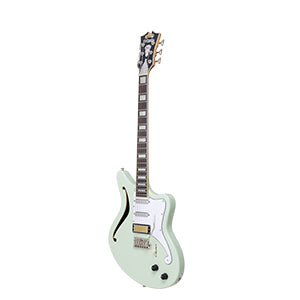 D'ANGELICO Excel GT Bedford SH