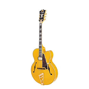 D'ANGELICO Excel EXL-1 Amber HB