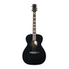Godin Connaisseur Folk GT + hoes