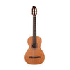 Godin Motif Clasica II RN