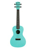 Kala Recycled Waterman, Concert - Aquamist