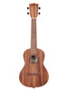 Kala Teak, Concert