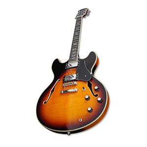 LARRY CARLTON H7 VS Hollow Body EN