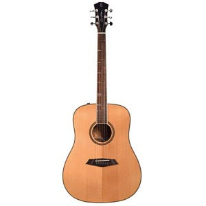 LARRY CARLTON A4 DS NAT