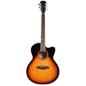 LARRY CARLTON A4 GS VS
