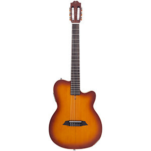 LARRY CARLTON G5N TS.S