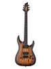 Schecter C-1 Pale Moon - natuurlijk satijnzwarte burst