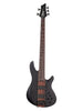 Schecter Charles Berthoud CB-5 - transparant zwart satijn glanzend
