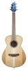 Breedlove Discovery S Companion
