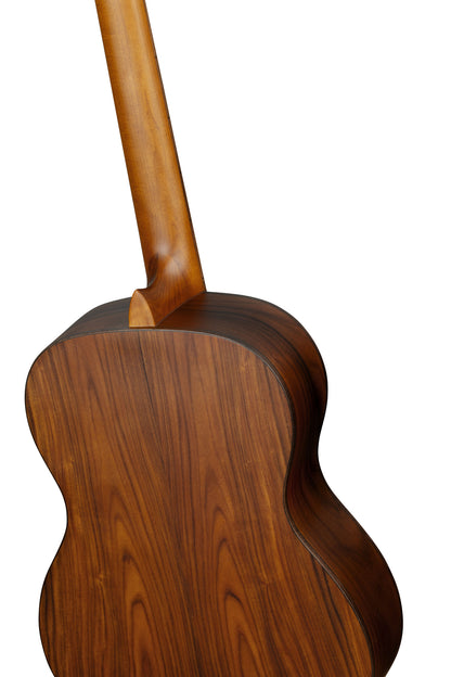 R23RO, table épicéa massif torréfié, fond & éclisses pao ferro, manche érable torréfié, housse, marron