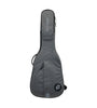 Ritter RGC3DEGR Dreadnought Cover