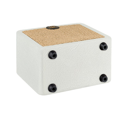 PTWO-LTD, ampli combo guitare acoustique 12W, Streaming Bluetooth, sortie casque, delay, reverb & chorus intégrés, simili cuir