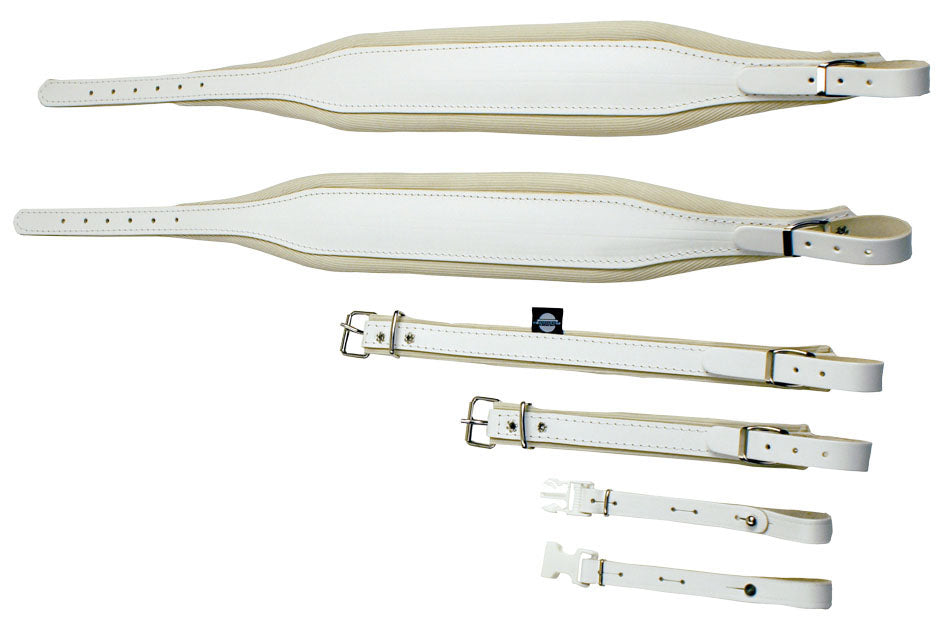 Cuir blanc, 120 basses, largeur 80 mm, rembourrée de mousse, avec attache dorsale