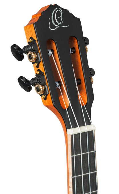 RTPX-U-FMA, modèle Tourplayer Ténor, pan coupé, EQ Magus X/U, table érable flammé, f/e okoumé, manche acajou, housse, bleu