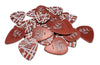 Zak met 24 Dunlop Evh Shark Picks