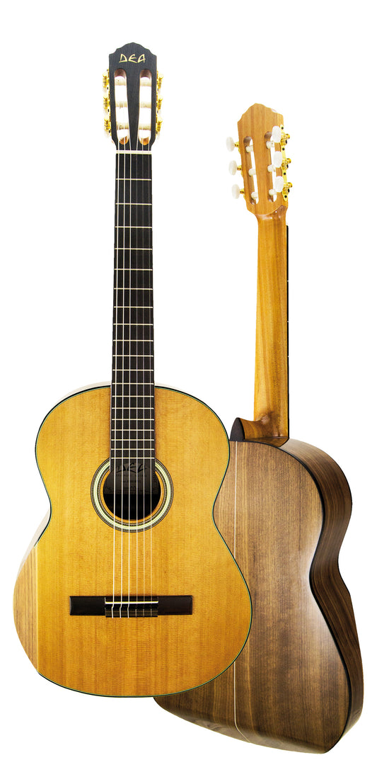 SNT C, table cèdre massif, f/e noyer, touche blackwood, sillets composite, chevalet palissandre, naturel brillant