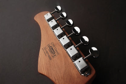 G260CS, corps aulne, manche érable"roasted", touche pau ferro, 2 micros simples et 1 double Voiced Tone, sunburst 3 tons