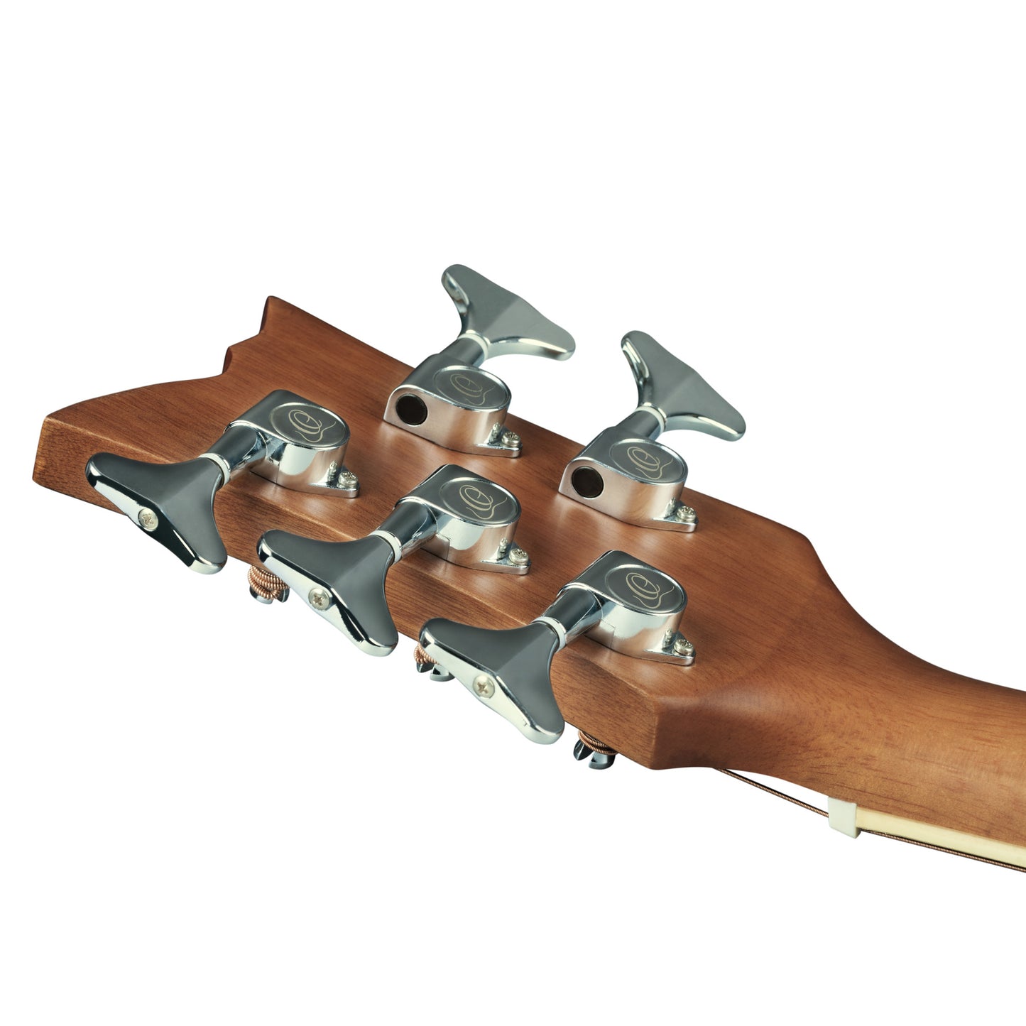 D7CE-5, basse 5 cordes, pan coupé, EQ Ortega MagusPro, table épicéa, f/e acajou, manche acajou, naturel satiné