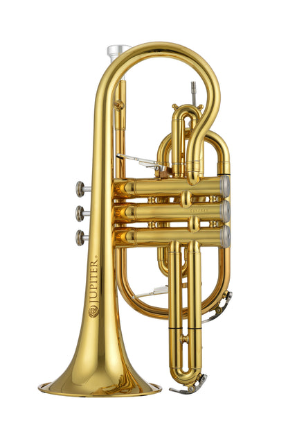 Cornet Si bémol Jupiter JCR1100Q