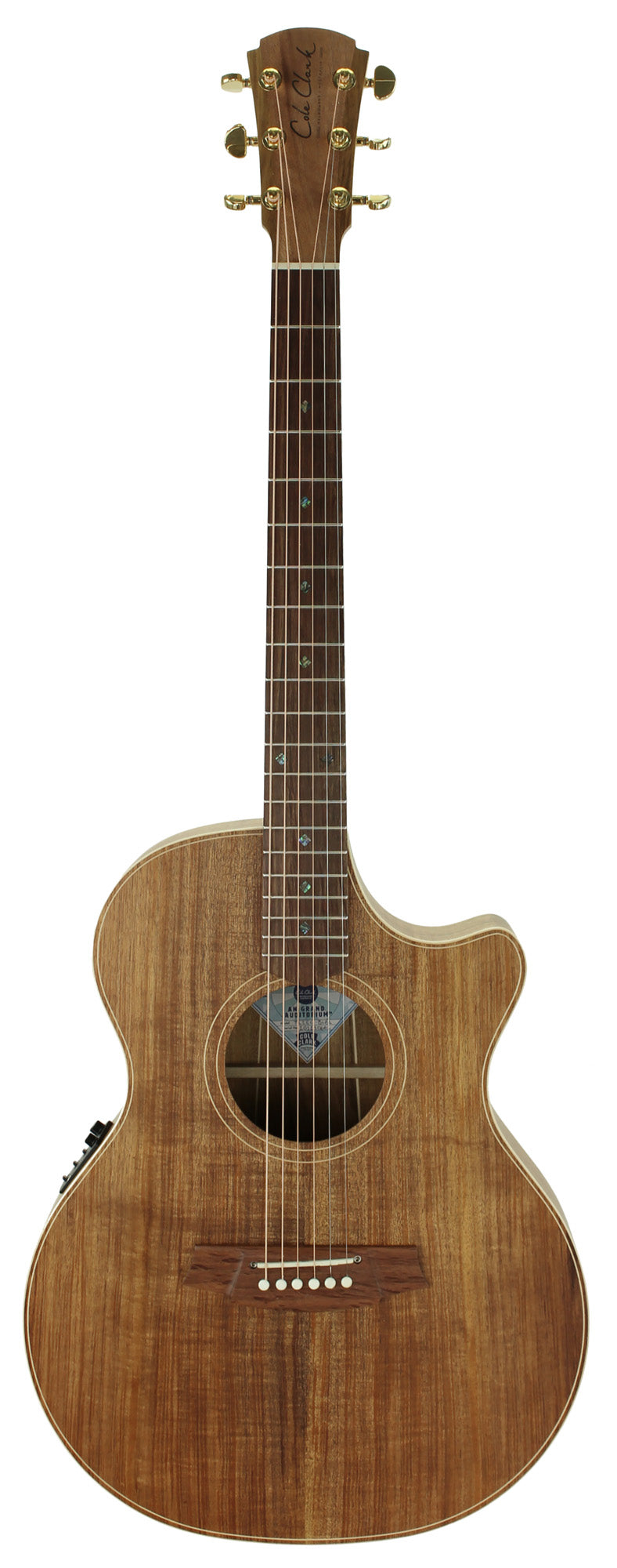 Thinline 2, Grand Auditorium, pan coupé, EQ 3 voix PG3, table blackwood massif, f/e blackwood massif, étui tweed