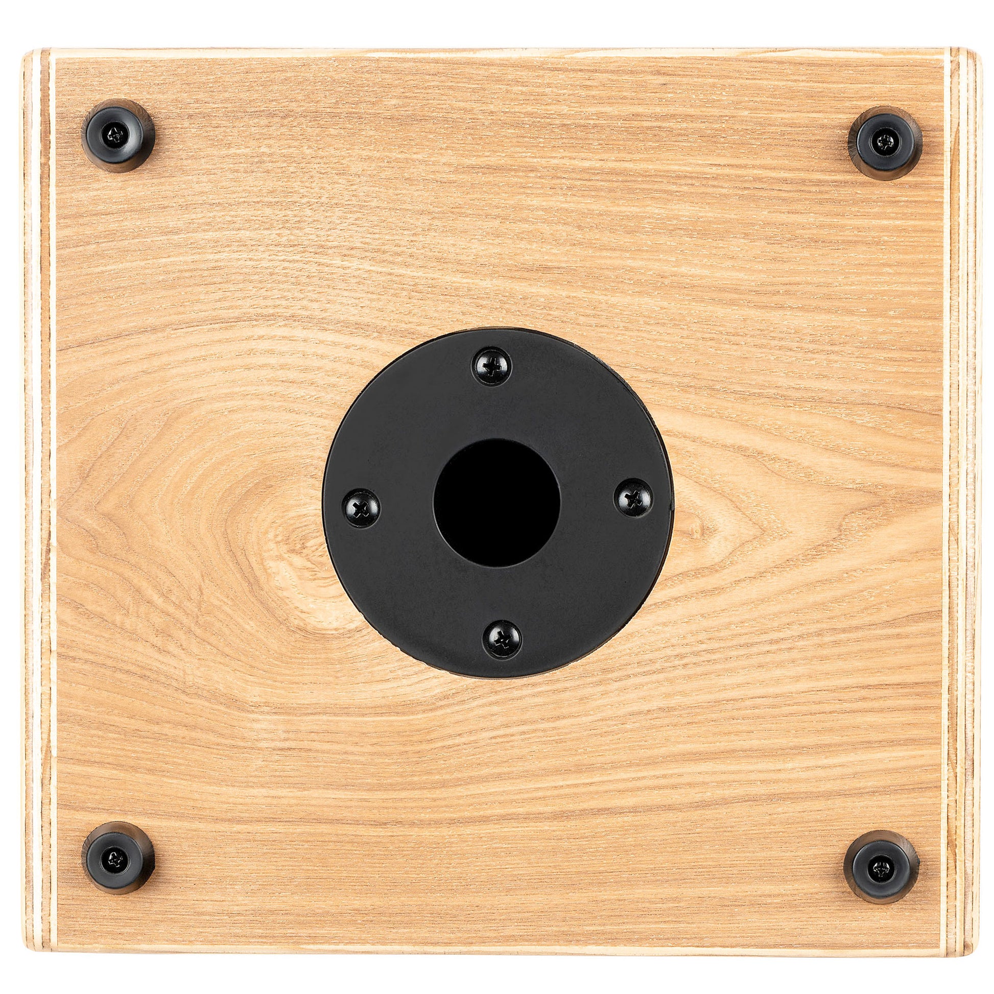 CONE-ASH, ampli combo guitare acoustique 100W, deux canaux, réverb & chorus intégrés, avec housse, frêne naturel satiné et noir