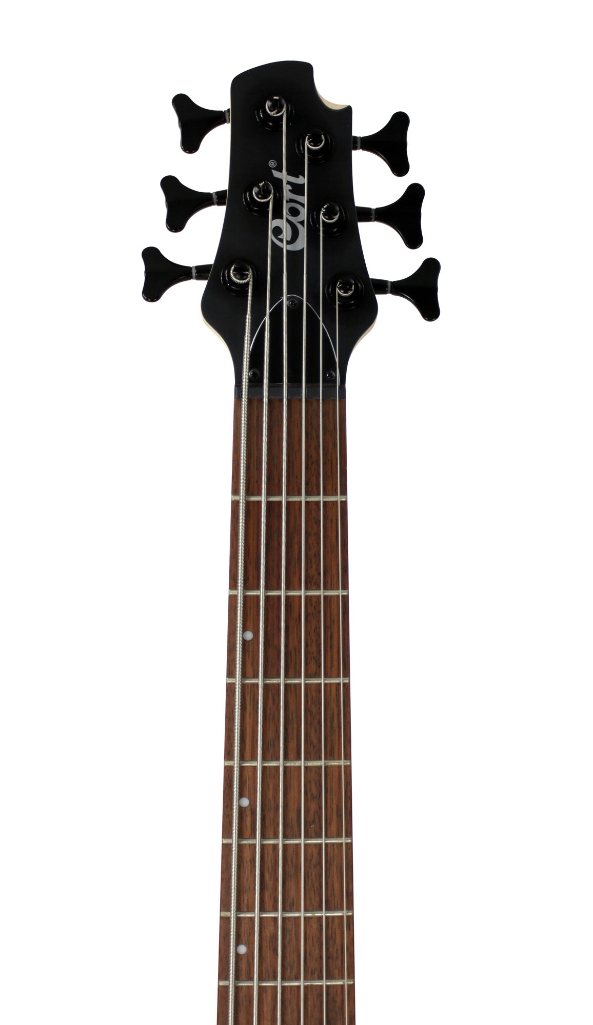 Action DLX AS, 6 cordes, corps frêne léger, micros Powersound, préampli 3 bandes Markbass, naturel pores ouverts