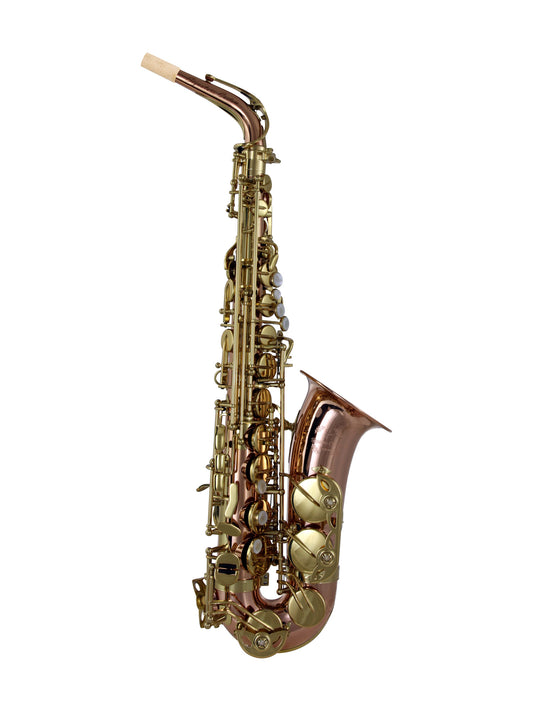 Saxophone alto Trevor James Signature Custom A269B (Phosphore bronze)