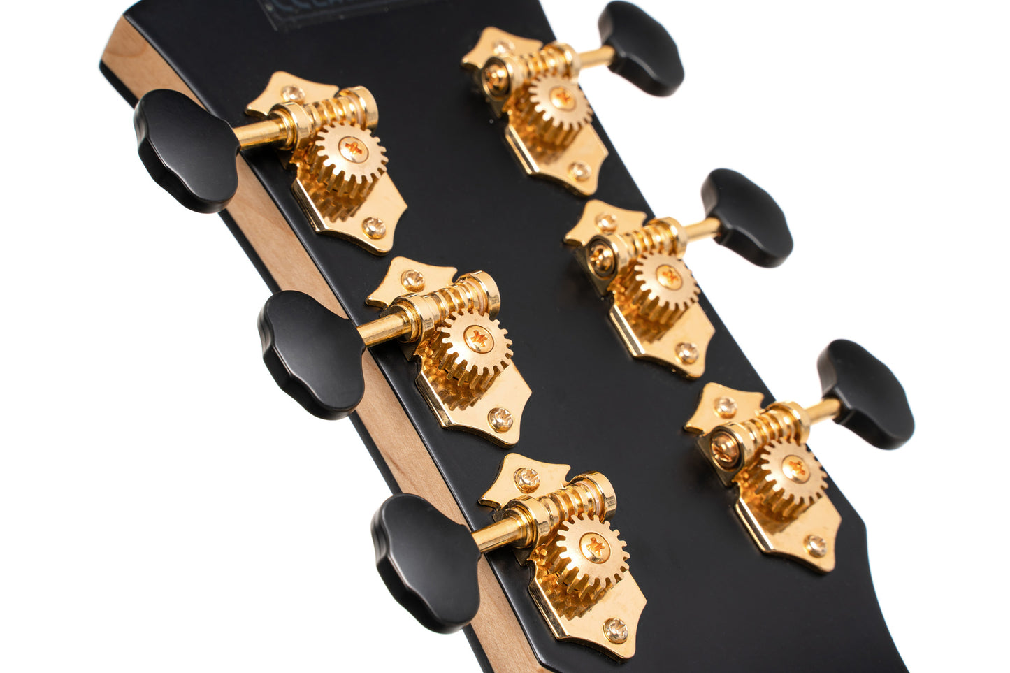 GOLD-PASSION, forme Concert, table épicéa massif torréfié, f/e érable flammé massif AAA, EQ LR Baggs, naturel brillant, étui