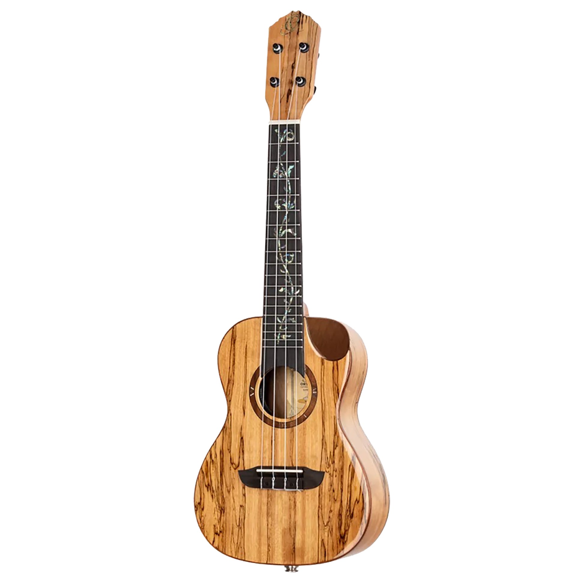 RUET-SMA, modèle Elite Concert pan coupé ergo, EQ MagusFly, table érable échauffé massif, f/e érable échauffé, naturel brillant