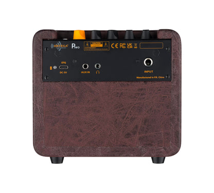 PTWO, ampli combo guitare acoustique 12W,Streaming Bluetooth, sortie casque,delay, reverb & chorus intégrés, simili cuir premium