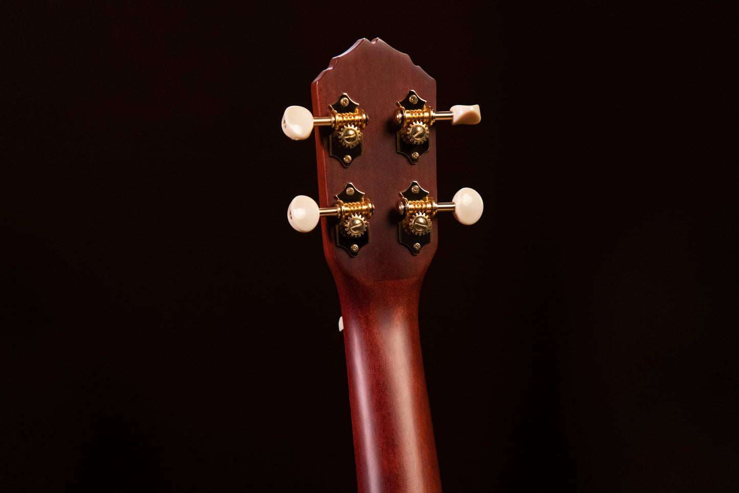 RU10, modèle Soprano, table acajou massif, fond & éclisses acajou massif, manche acajou, housse, naturel satiné.