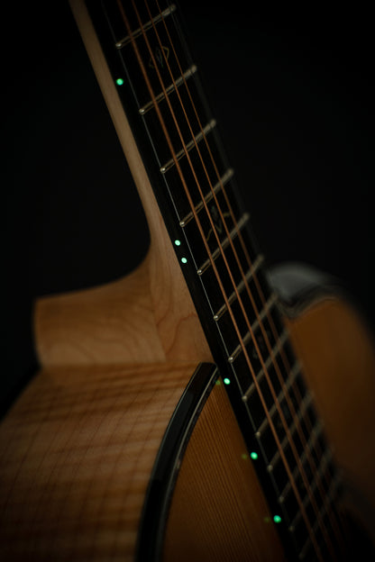 GOLD-PASSION, forme Concert, table épicéa massif torréfié, f/e érable flammé massif AAA, EQ LR Baggs, naturel brillant, étui