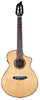 Breedlove Pursuit Ex S Concert Nylon Ce