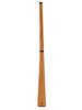 DIDGERIDOO SONISCHE ENERGIE