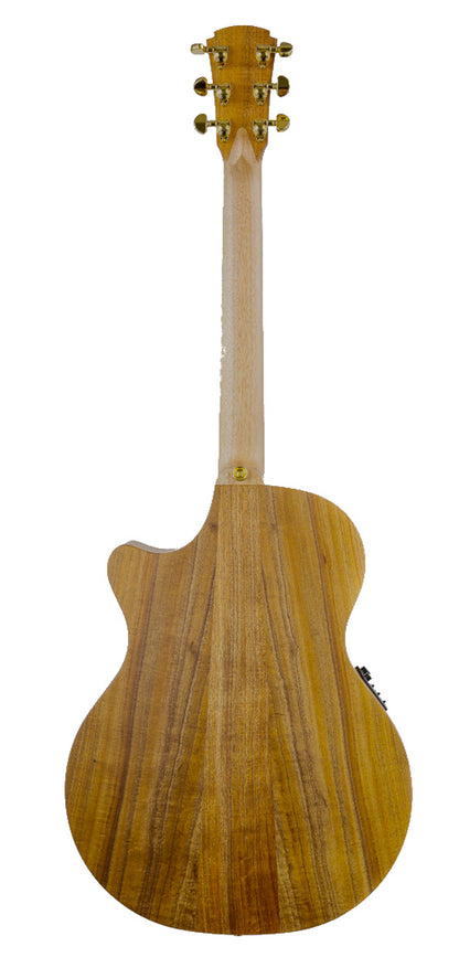 TRUE HYBRID Thinline, Grand Auditorium pan coupé, EQ 3 voix PG3, micros HSS, table blackwood massif, f/e blackwood massif, étui