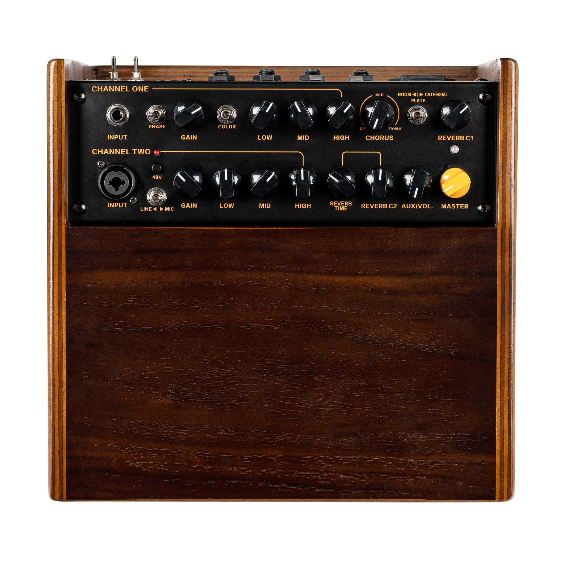 CONE-WND, ampli combo guitare acoustique 100W, deux canaux, réverb & chorus intégrés, avec housse, noyer foncé satiné et noir