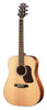 Walden Dreadnought D740