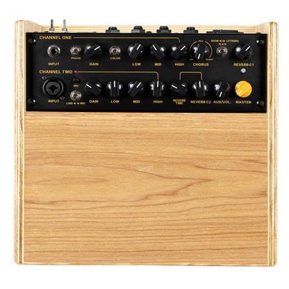 CONE-ASH, ampli combo guitare acoustique 100W, deux canaux, réverb & chorus intégrés, avec housse, frêne naturel satiné et noir