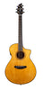 Breedlove Performer Pro Concert CE Aged Toner